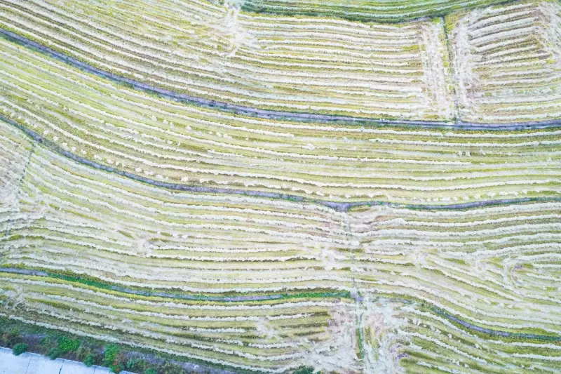 贵州企业品牌推广中的活动策划全流程与质量管控要点